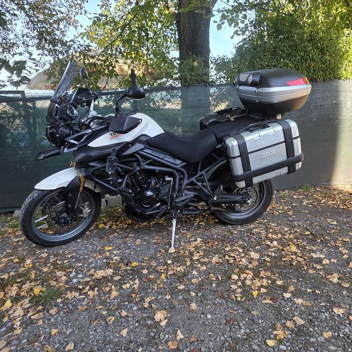 Triumph