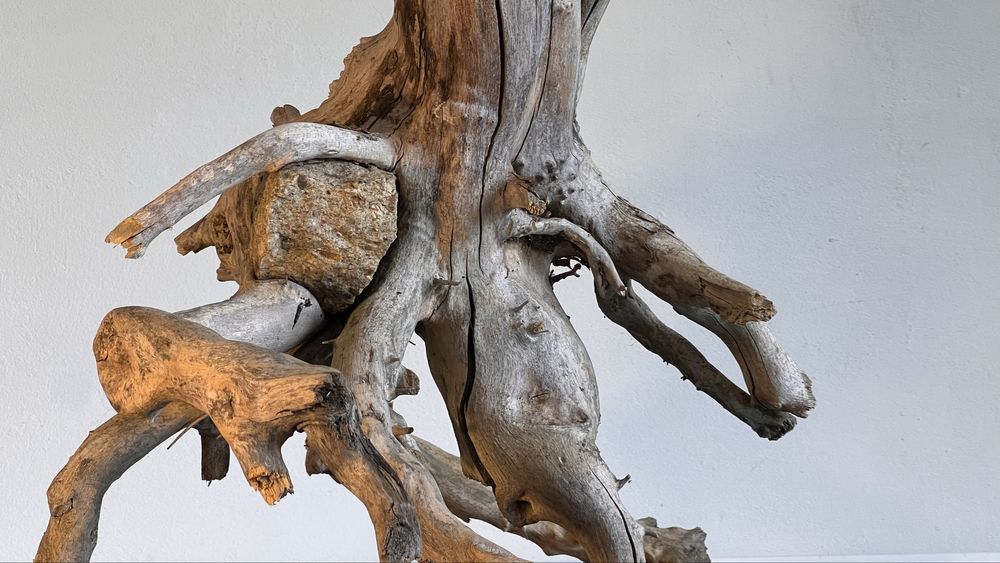 Korzeń do terarium, akwarium