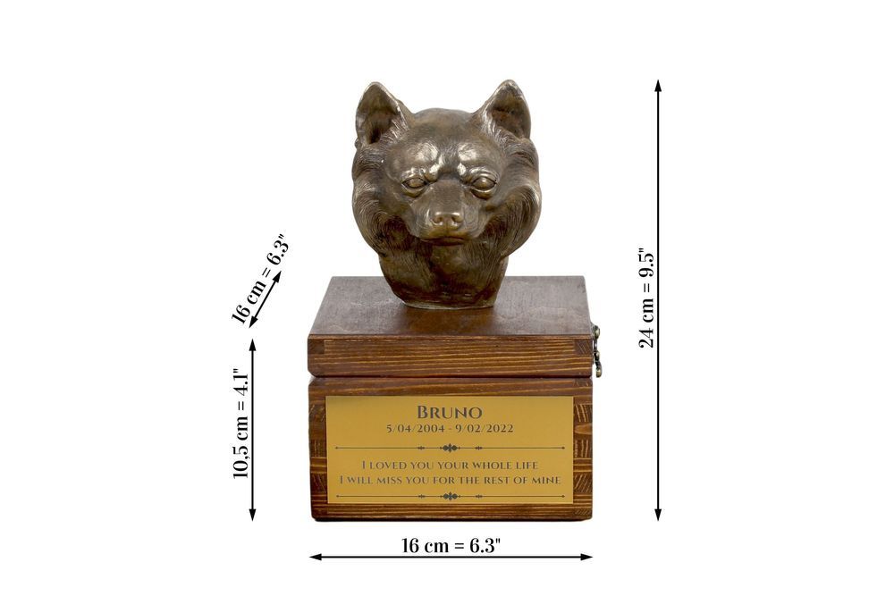 Chihuahua długowłosy urna na skrzynce brązowa Art-Dog