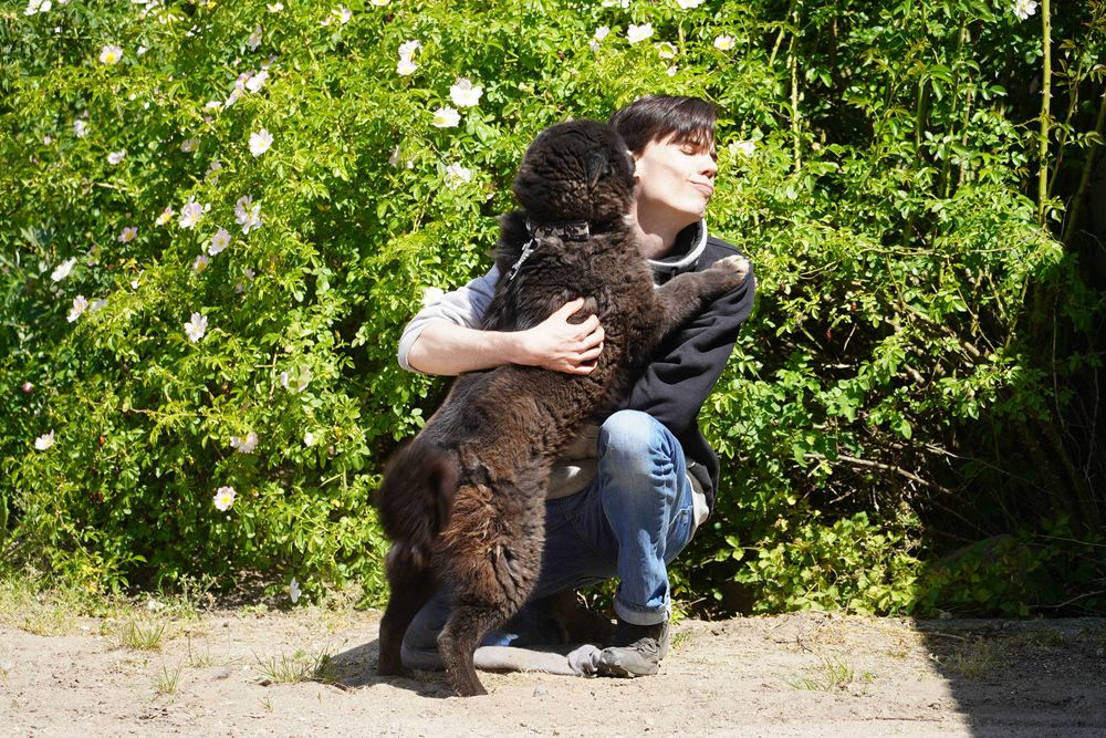 Funia - śliczna sunia