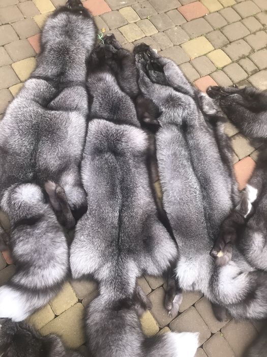 Вичинка шкур мєха ,выделка  шкурок меха  ..