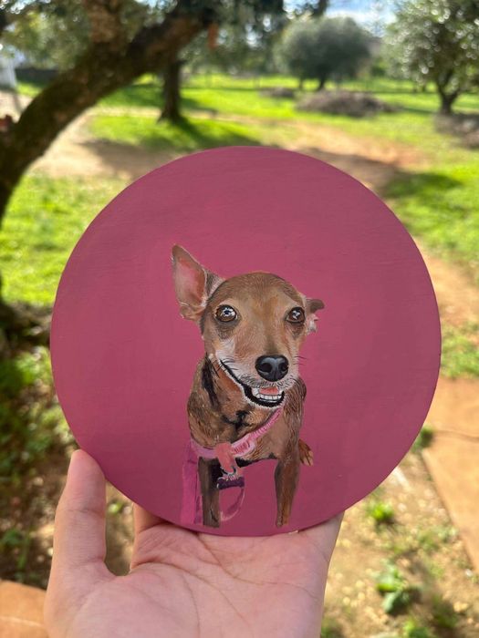 Quadros de pets feitos á mão
