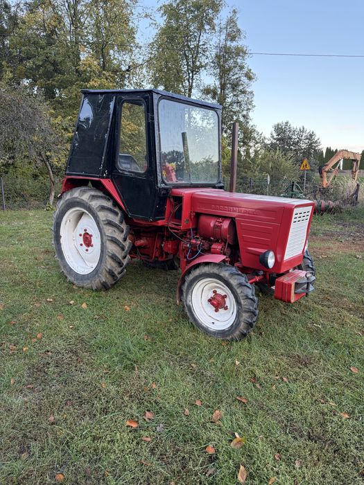 Władymirec T25 A2