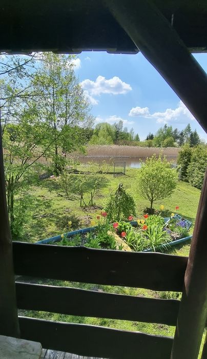 Domek nad wodą przy Parku Biebrzańskim