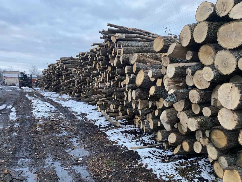 Дрова Дуб, Ясен, Акація, Сосна (Колоті) — Доставка Харків та Область