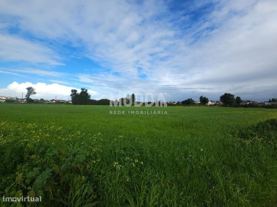 Terreno com elevado potencial em Canelas