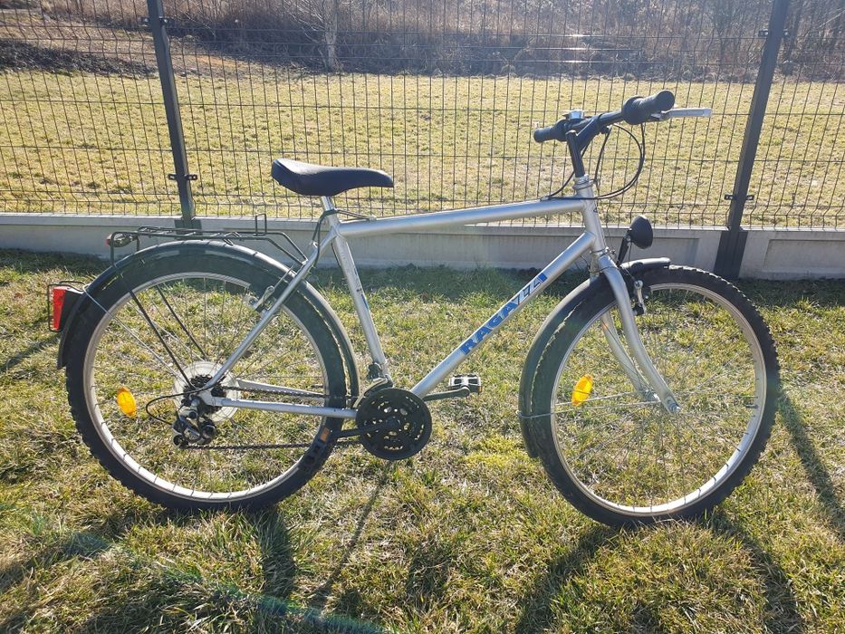 Rower Ragazzi Liner 26"