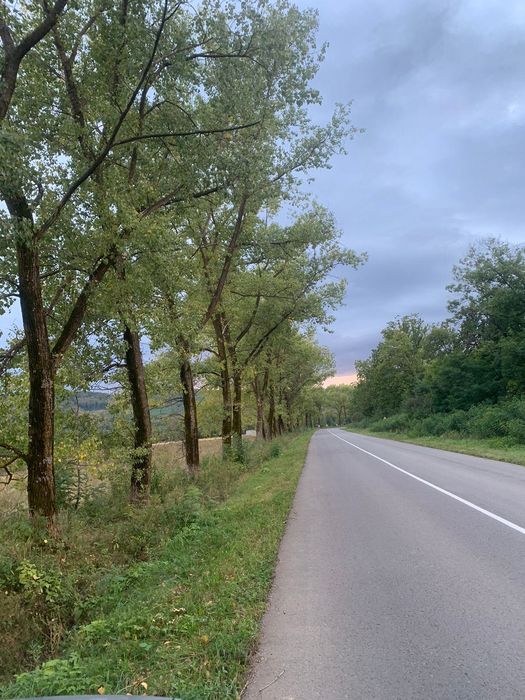 Продаж земельної ділянки 30 соток  с.Багна Вижницький р-н Чернівец.обл