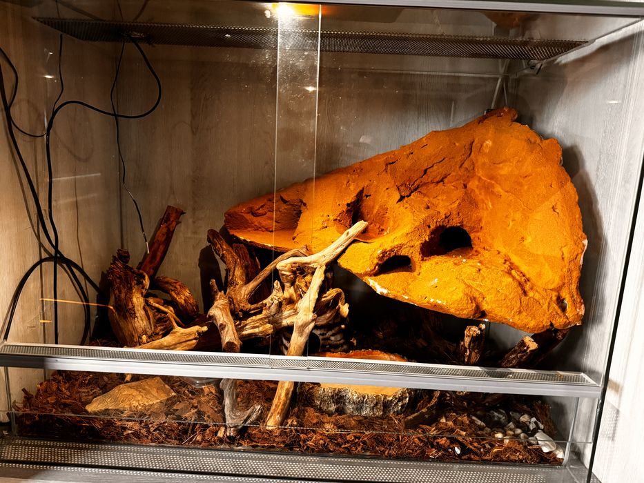 Terarium, po wiecej info zapraszam pv(do mocnej nego)