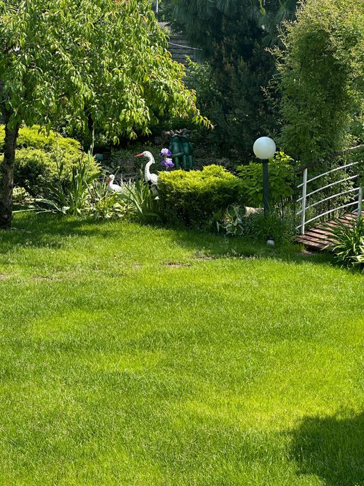 Дом по адресу ул. Старогородская (площадь 285 м²) - Atlanta.ua - фото 5