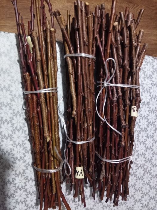 Черенки для прививки