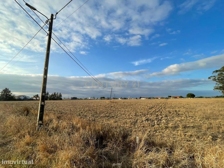 Terreno Rústico com Projeto Aprovado | 5.000 m² | Foros de Salvaterra