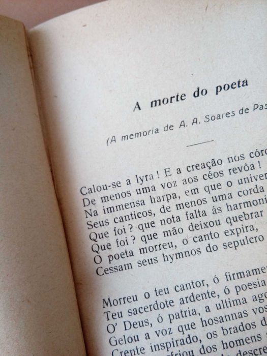 Julio Diniz  Poesia