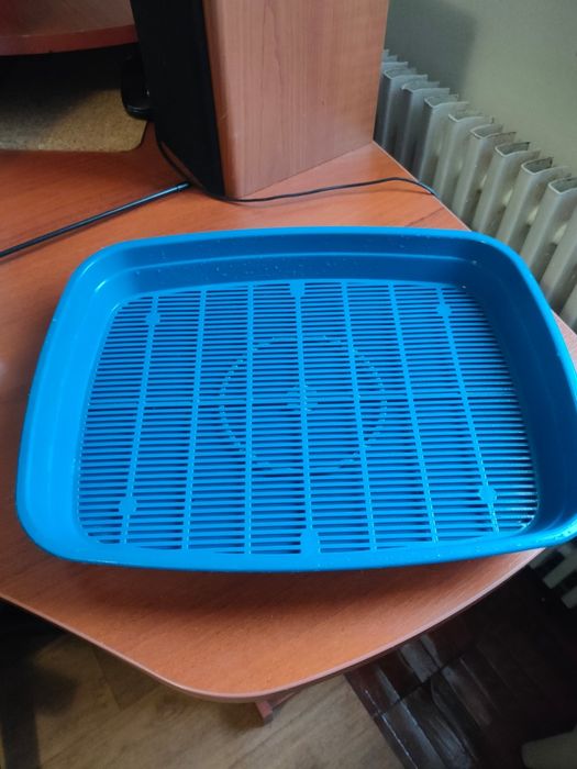 Лоток для домашнего кота