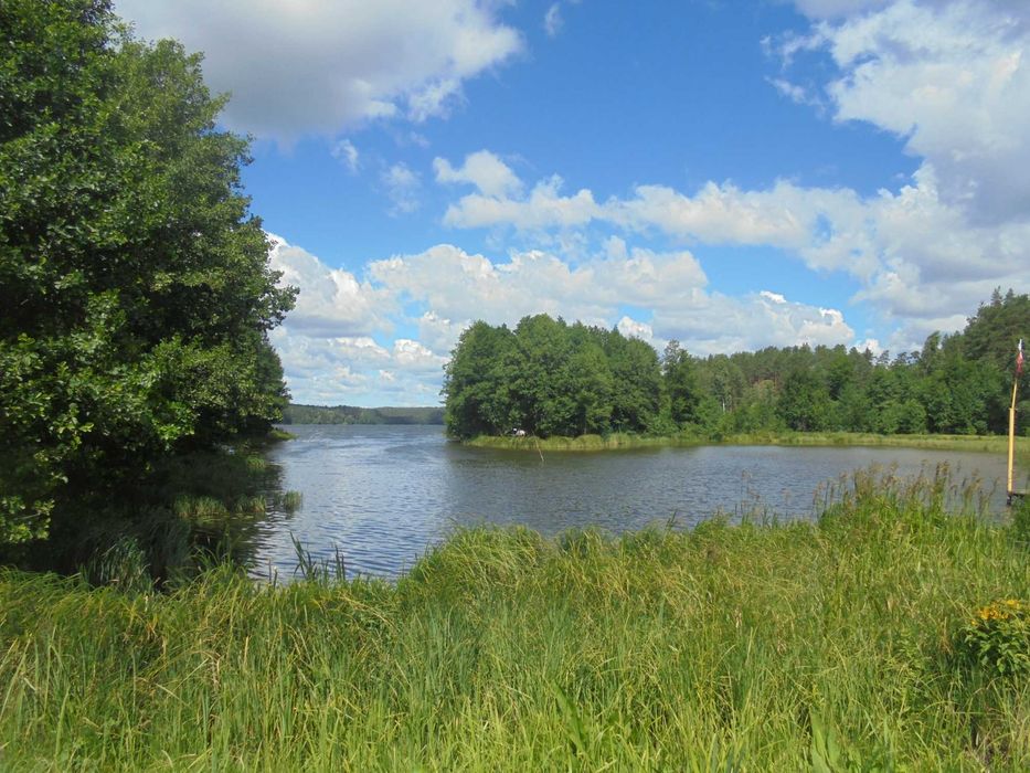 Domek  letniskowy wczasowy domki nad jeziorem Kaszuby ŻÓŁTY HOLENDER