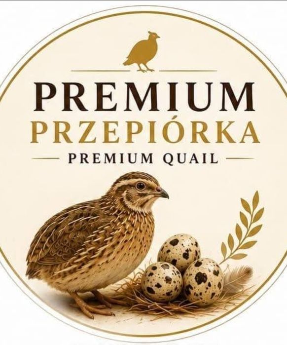 Oferta jaj lęgowych przepiórki od PREMIUM PRZEPIÓRKA jaja lęgowe wybierz mix z olx wysyłka