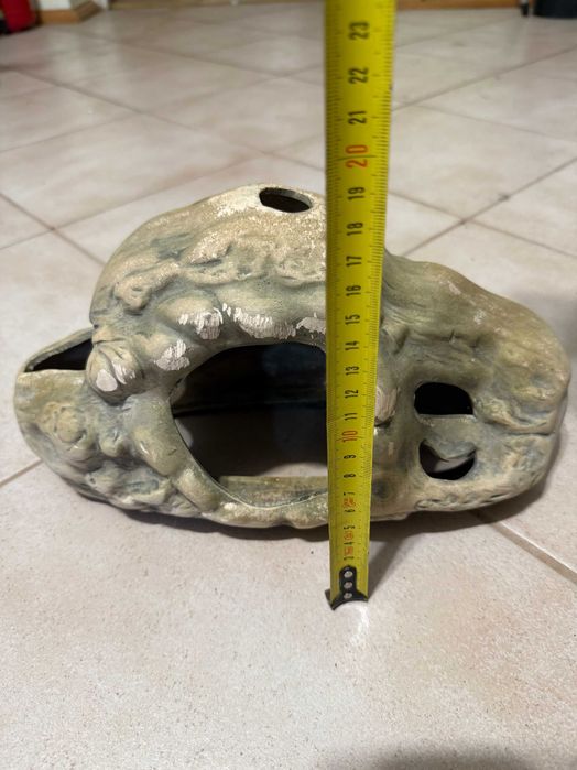 Nowa Grota dla płaza