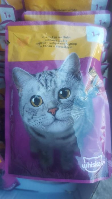 100 sztuk whiskas