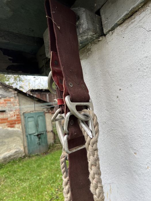 Пас електрика новий .