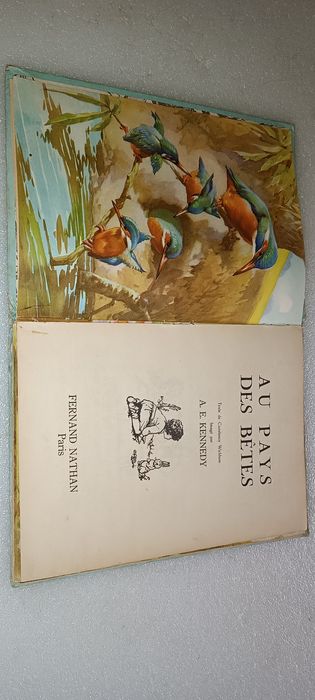 Livro antigo Au pays des bêtes anos 50 edição belga