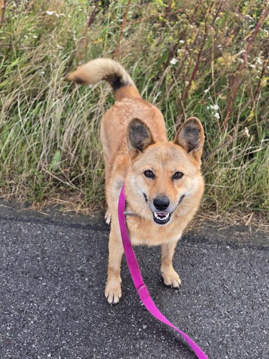 Uśmiechnięta Sally