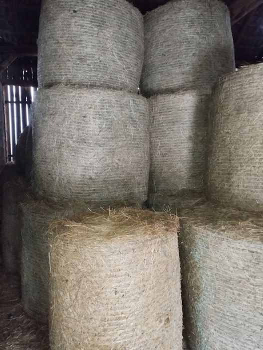 Sprzedam siano w balach