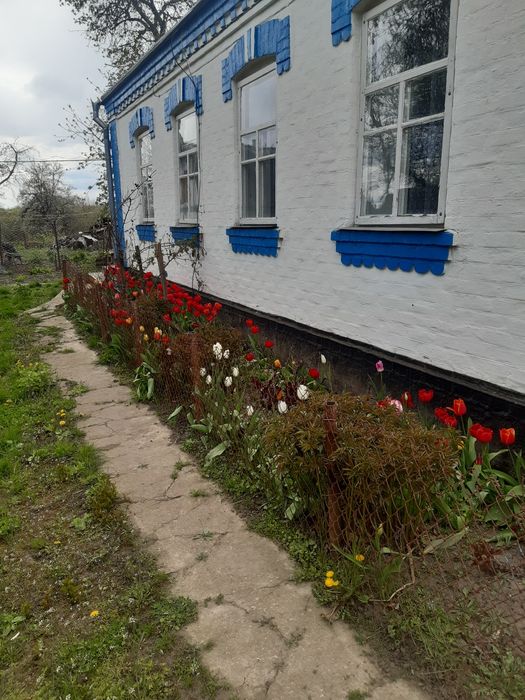 Продо будинок газифікований.