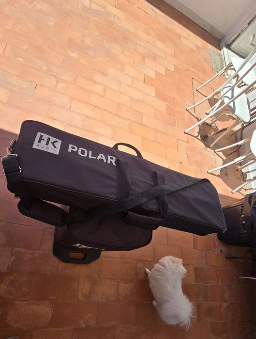 HK Audio POLAR 12 – Sistema de Som Profissional | 750€
