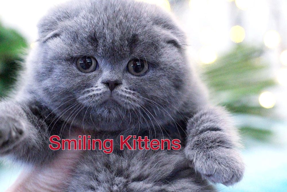 Завжди є куди ще краще