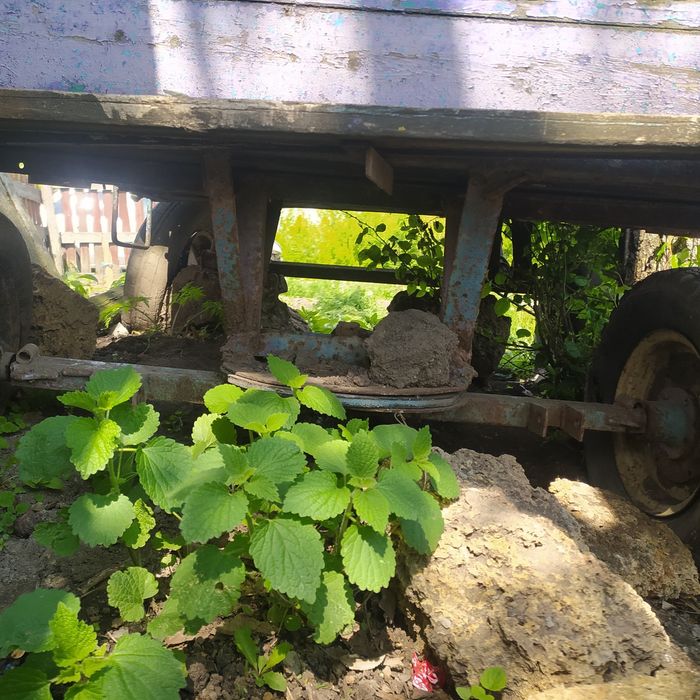 Продам Бричку,карету