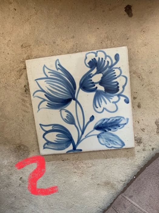 Azulejos viuva lamego novos