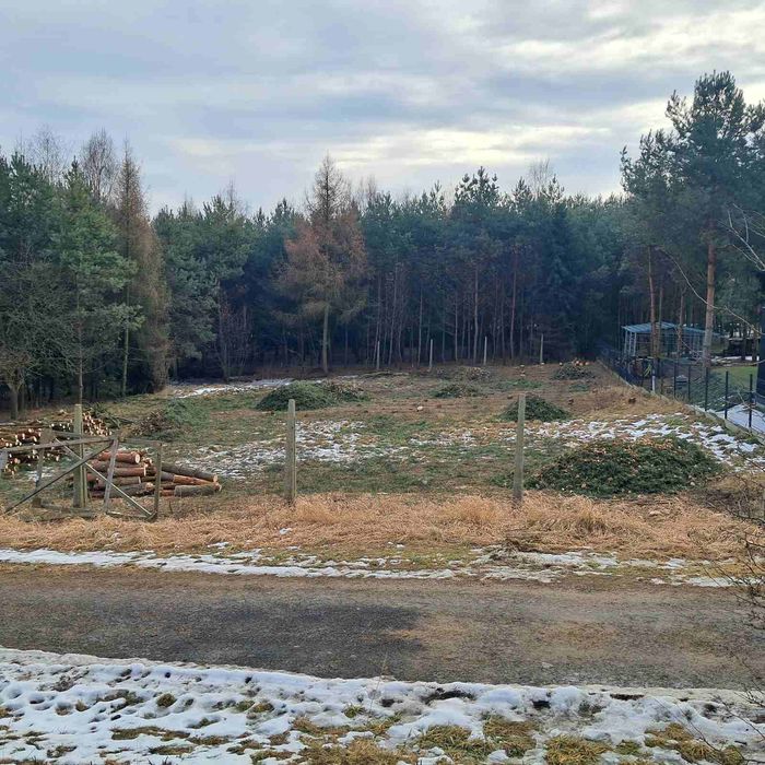 Mini koparka karczowanie wycinka równanie terenu wykopy rębak