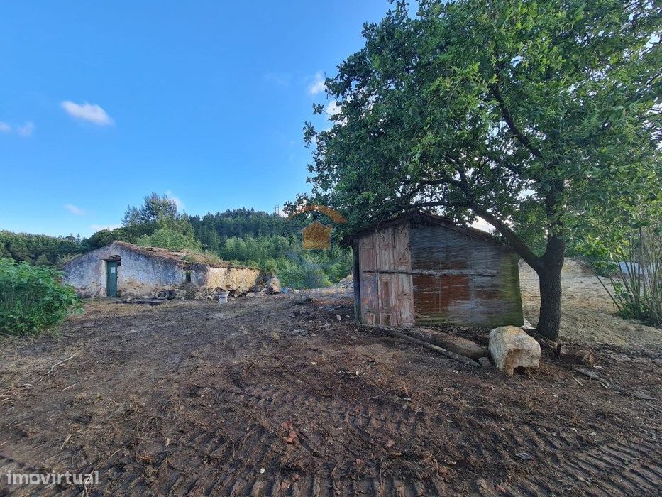 MTM6873 - Quintinha 3.000m2 | Torres Vedras