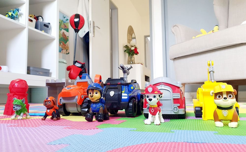 Conjunto Patrulha Pata / Canina