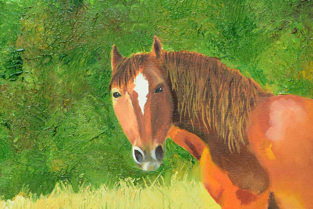 Quadro - Pintura a Óleo Original "O Mustang Selvagem"