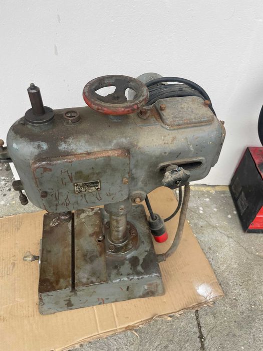 Gwinciarka stołową