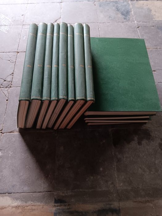 Revista panorama - lote