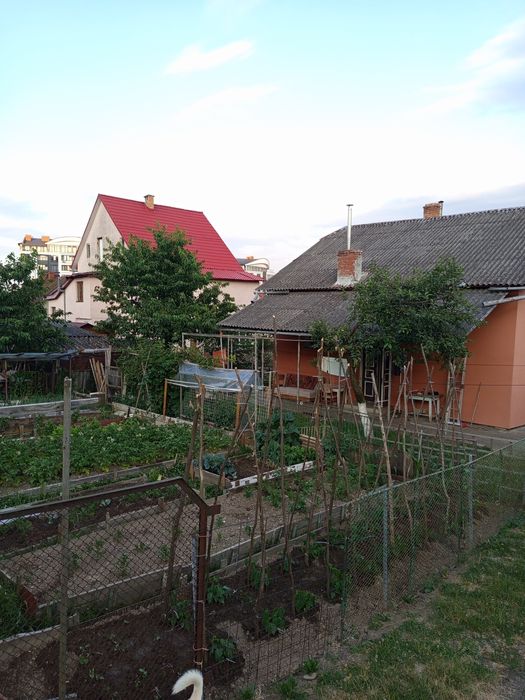 Продається будинок в Трускавці.