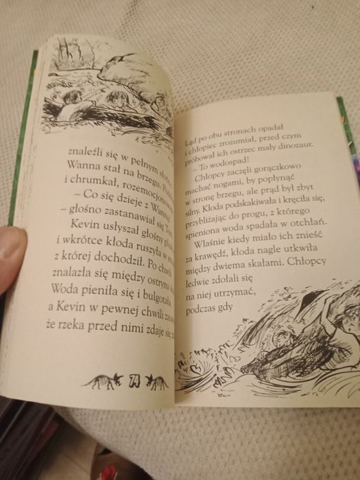 Zatoka Dinozaurów