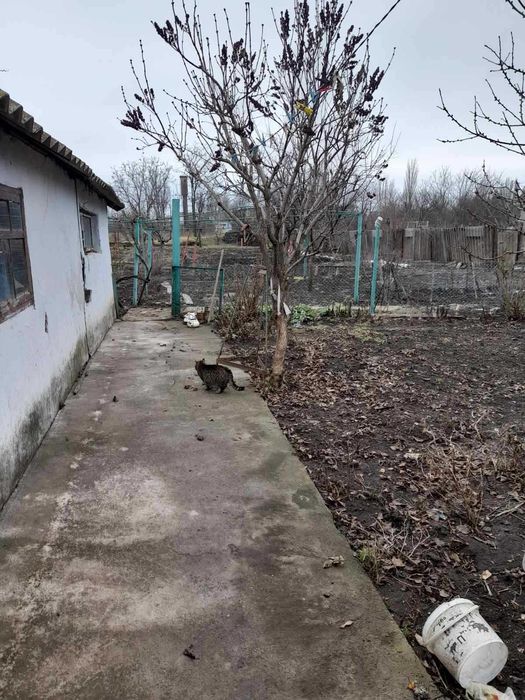 Продам добротний будинок в с. Кремидівка