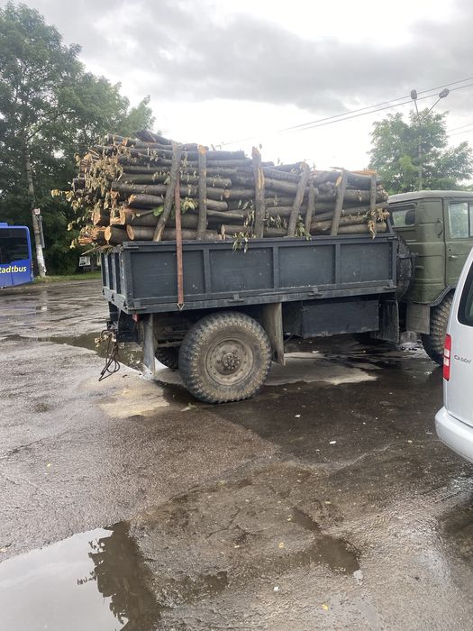 Дрова бук граб тверда порода