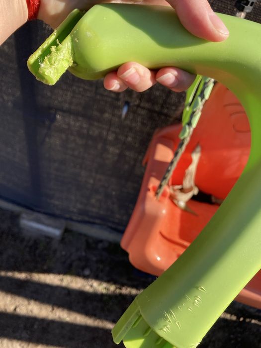 Huśtawka rosnąca Tygrysek