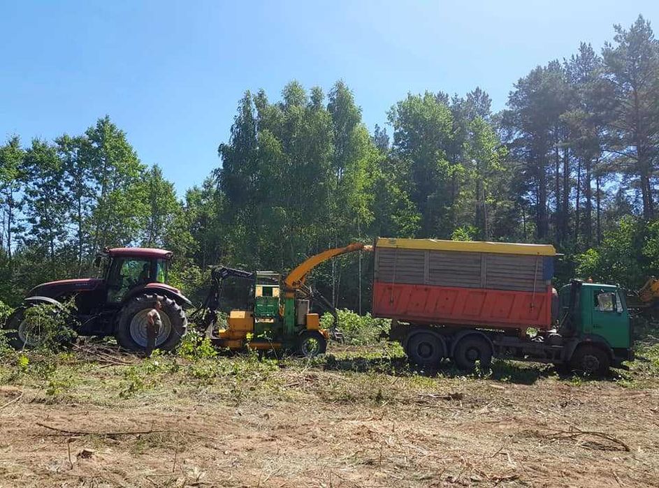 wycinka drzew, mulczowanie, rekultywacja, rębak, skup lasu na pniu
