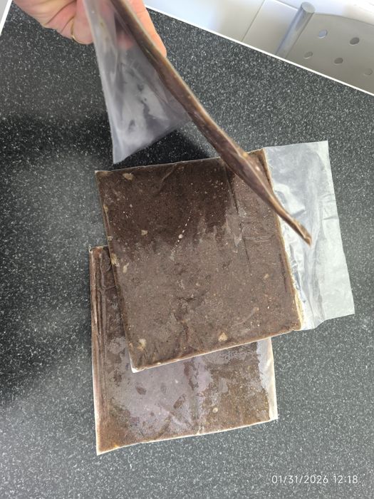 Comida congelada caseira peixes aquário