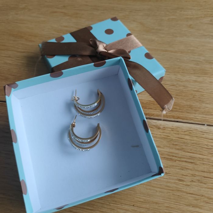 Kolczyki stał hirurgiczna