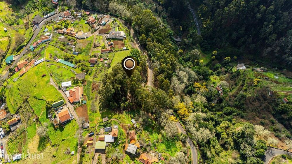 Terreno localizado na Camacha, com área total de 1.430 m2