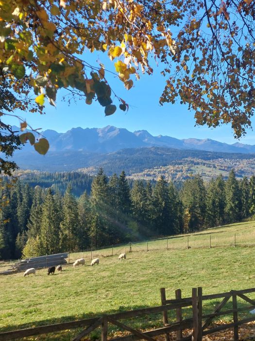 Apartament Panoramiczny Wierch