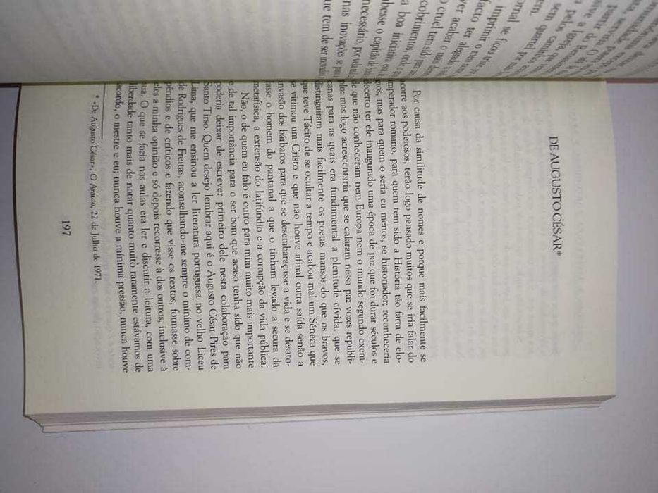 Ensaio sobre cultura e literatura Portuguesa e Brasileira II