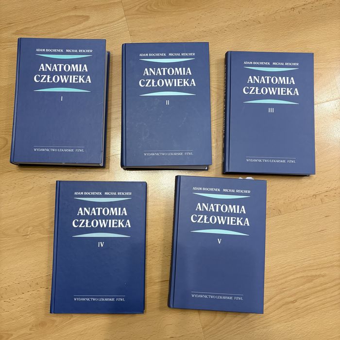 Anatomia człowieka