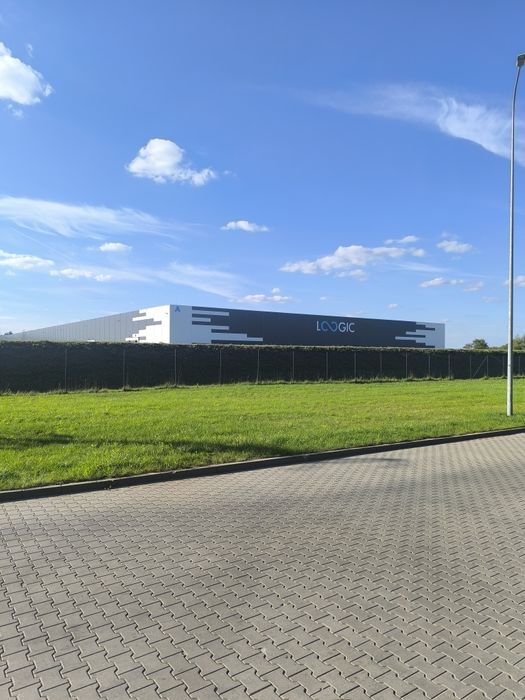 TEREN LEŚNY 3,4 ha | A1 | LOGISTYKA | DOJAZD | 1 500 000 zł